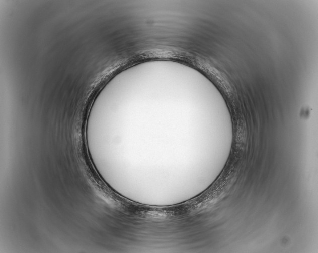 X0000099320394200805231429