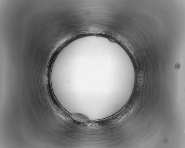 X0000099320395200805231429