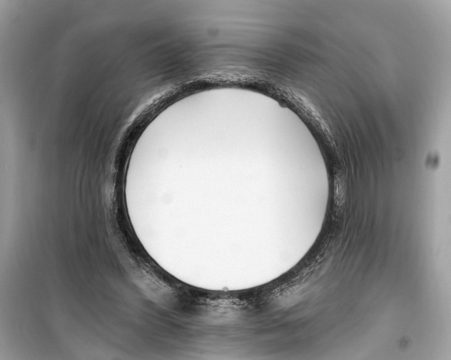 X0000099320396200805231429