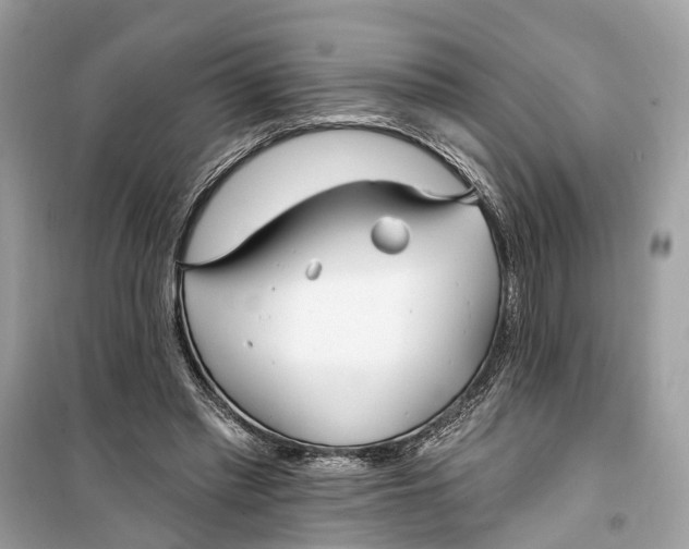 X0000099320397200805231429