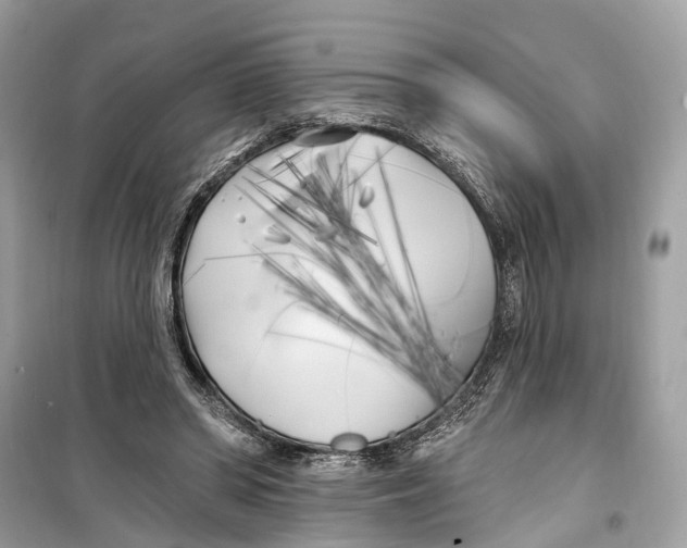 X0000099320398200805231429