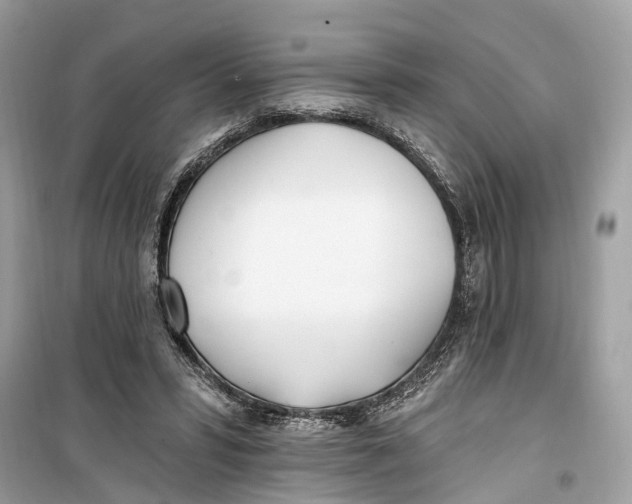 X0000099320399200805231429