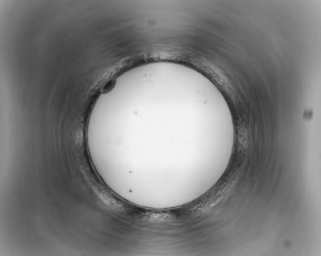 X0000099320401200805231429