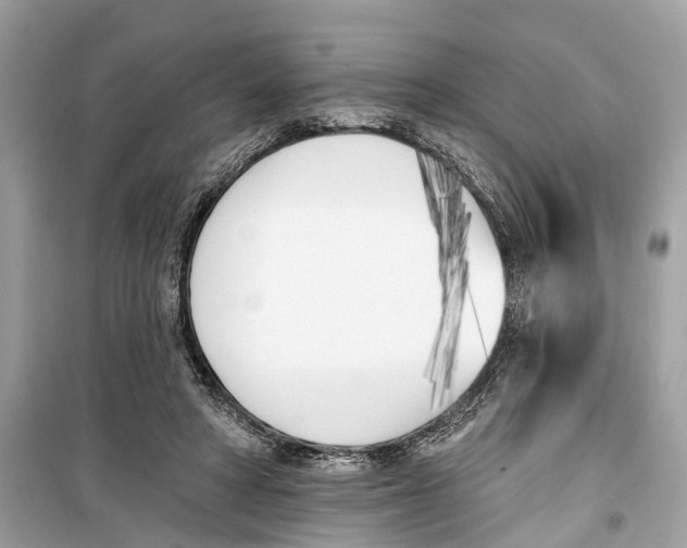 X0000099320402200805231429