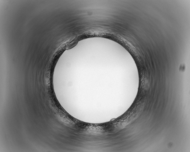 X0000099320403200805231429