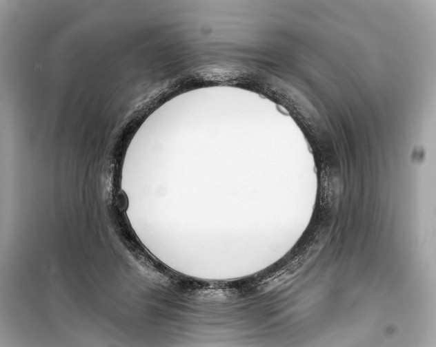 X0000099320404200805231429