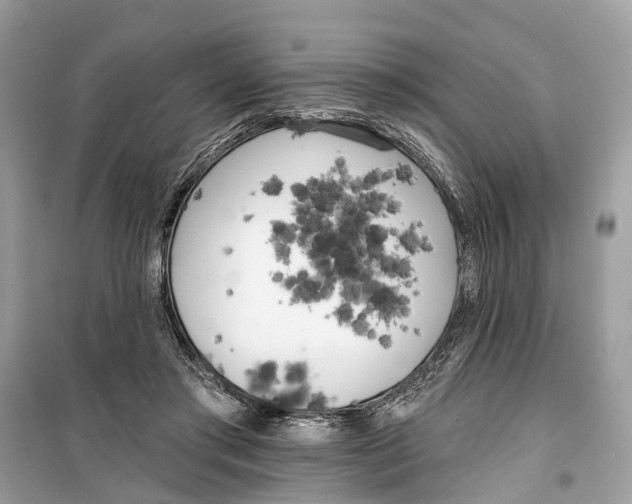 X0000099320405200805231429