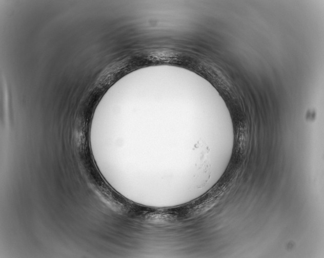 X0000099320408200805231429