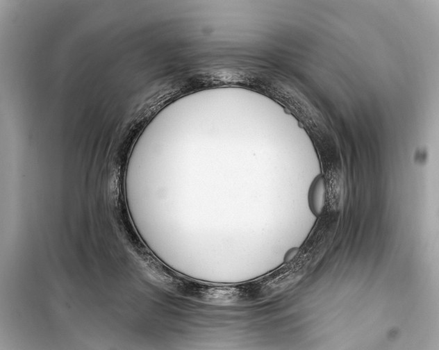 X0000099320410200805231429