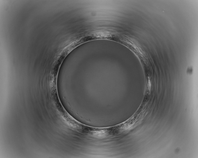 X0000099320411200805231429