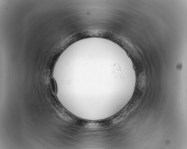 X0000099320413200805231429