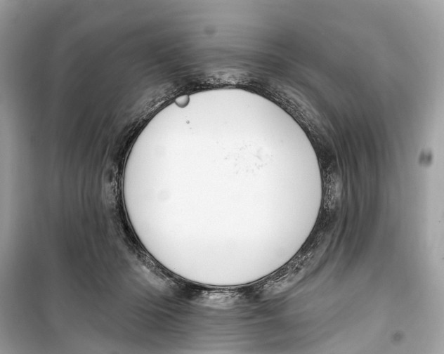 X0000099320414200805231429