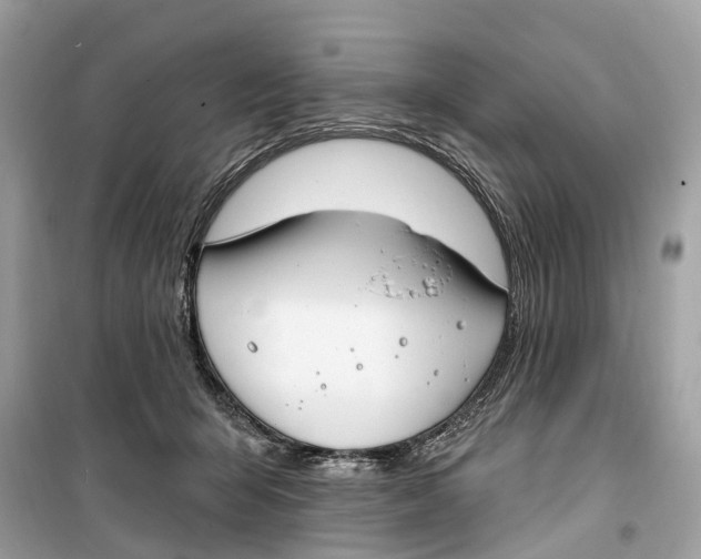 X0000099320415200805231429