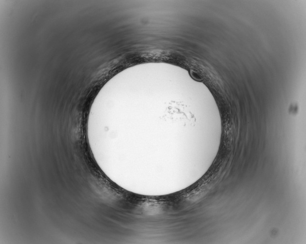 X0000099320416200805231429