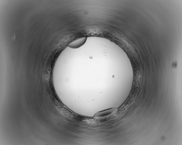 X0000099320417200805231429