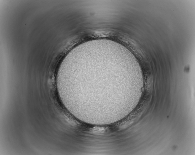 X0000099320418200805231429