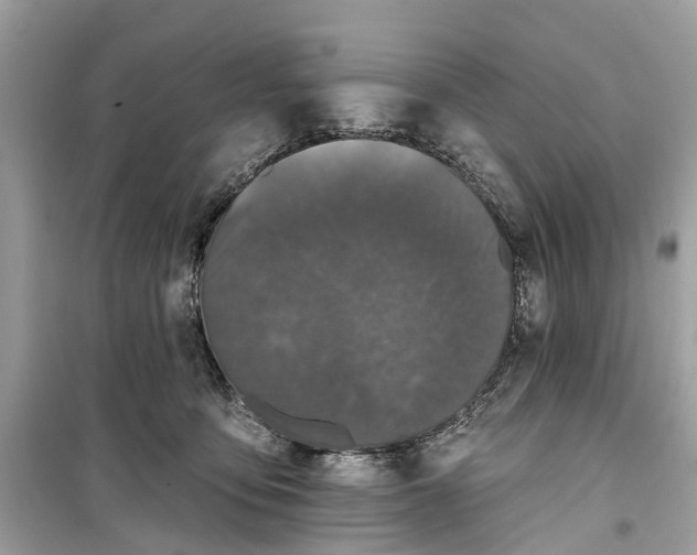 X0000099320419200805231429