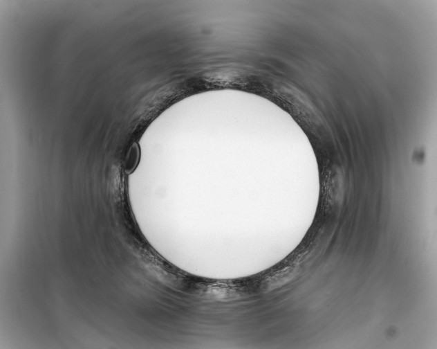 X0000099320420200805231429