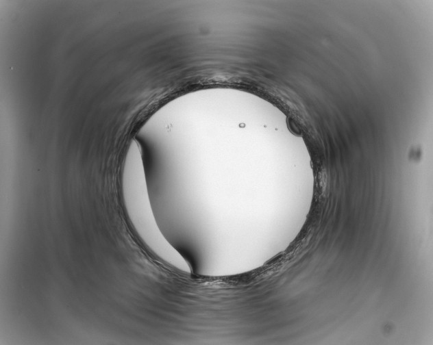 X0000099320423200805231429