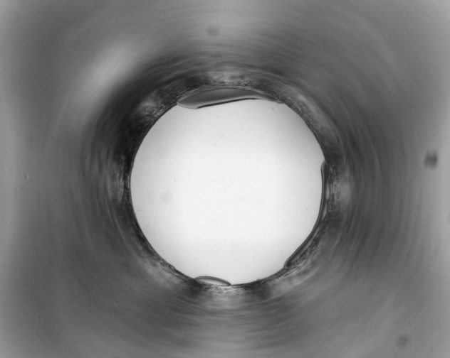 X0000099320429200805231429