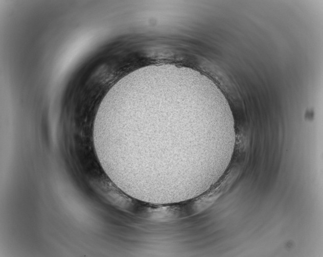 X0000099320430200805231429