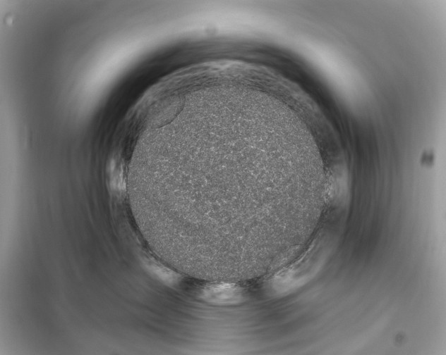 X0000099320431200805231429