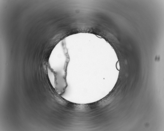 X0000099320432200805231429