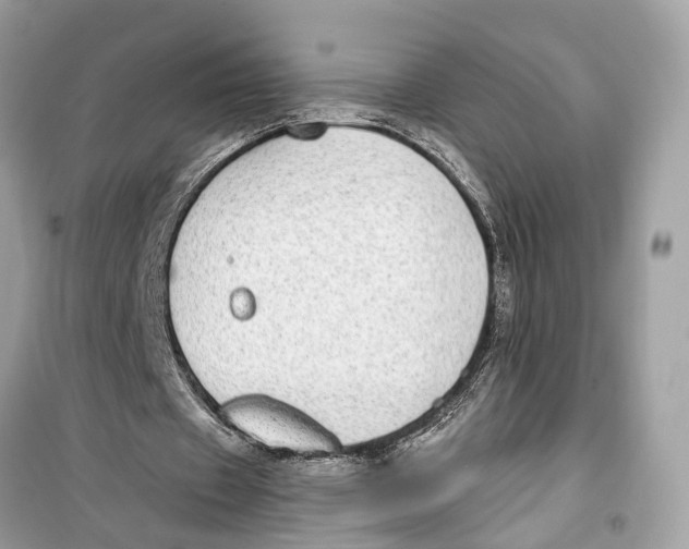 X0000099320433200805231428