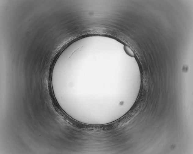 X0000099320434200805231428