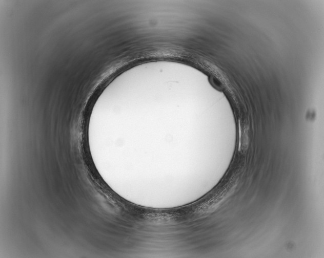 X0000099320435200805231428