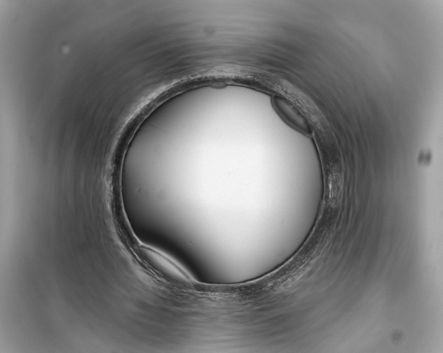 X0000099320436200805231428