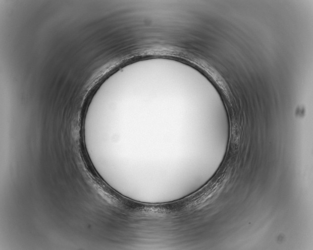 X0000099320437200805231428