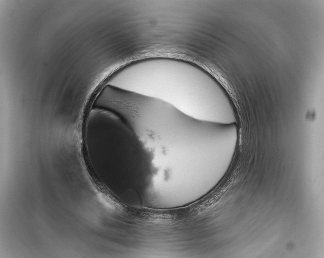 X0000099320438200805231428