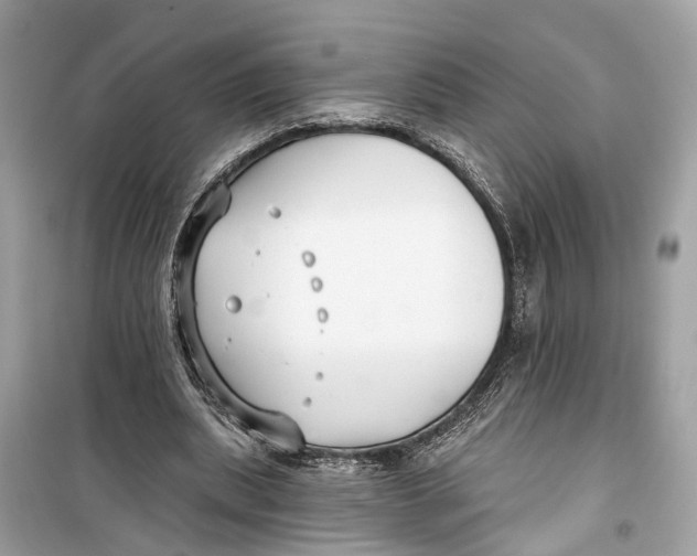 X0000099320439200805231428