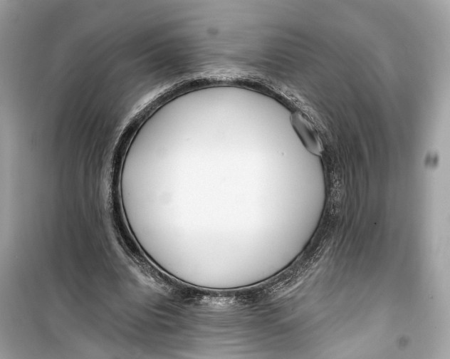 X0000099320440200805231428