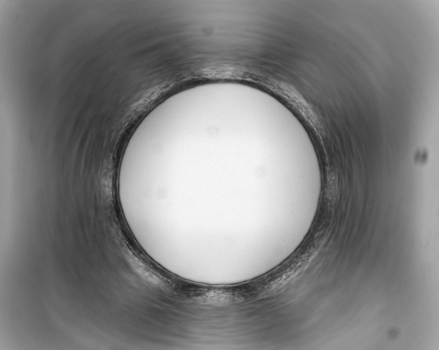 X0000099320441200805231428