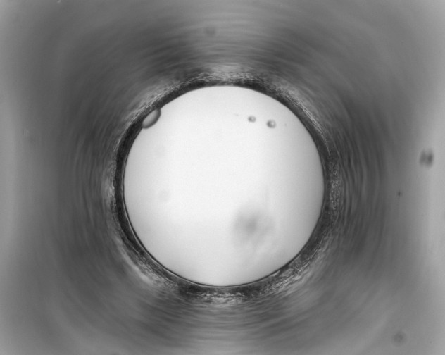 X0000099320443200805231428