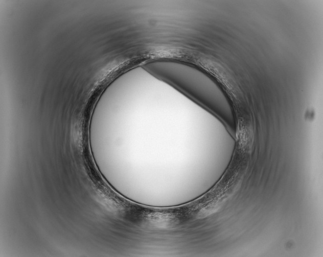 X0000099320444200805231428