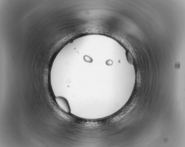 X0000099320445200805231428