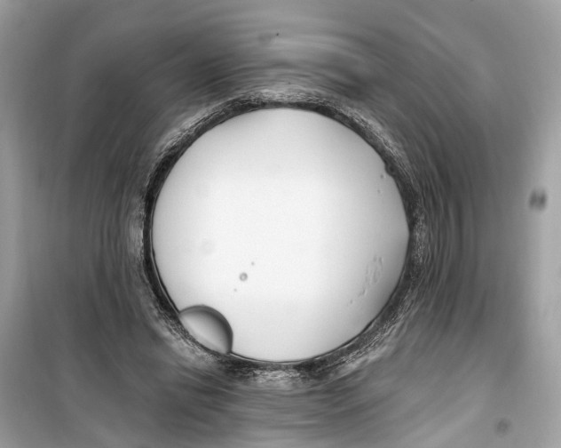 X0000099320446200805231428