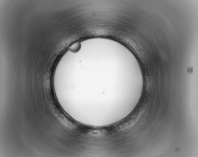 X0000099320447200805231428