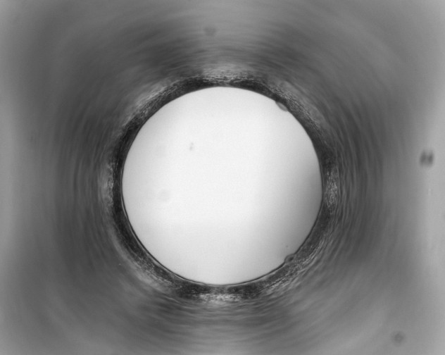 X0000099320448200805231428