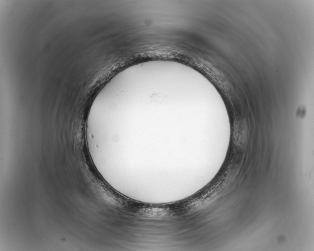 X0000099320449200805231428