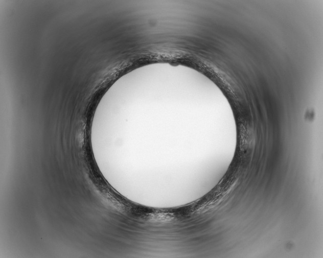 X0000099320451200805231428