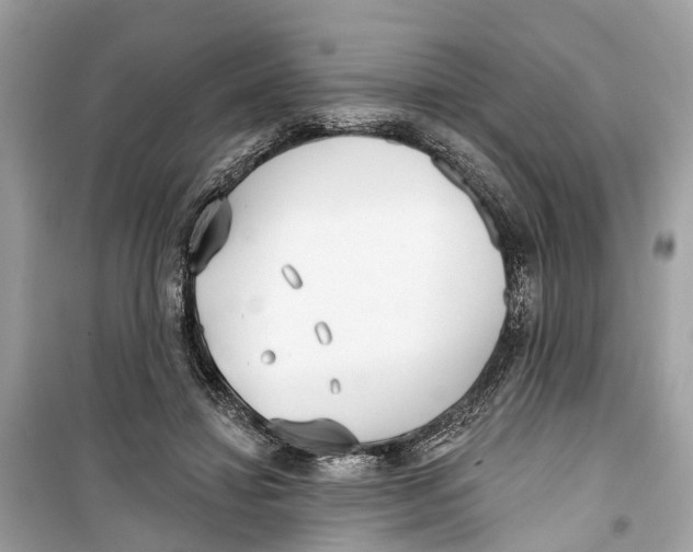 X0000099320452200805231428