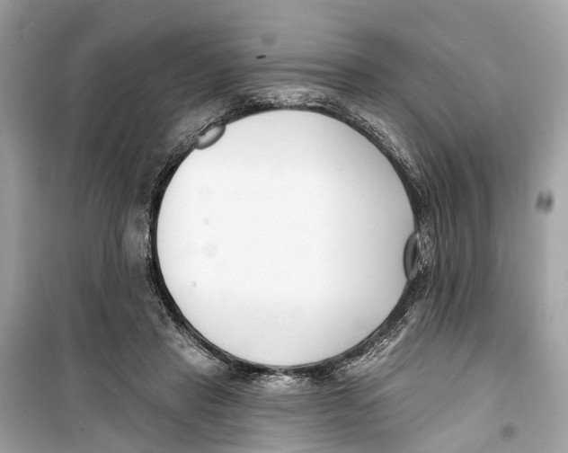 X0000099320453200805231428