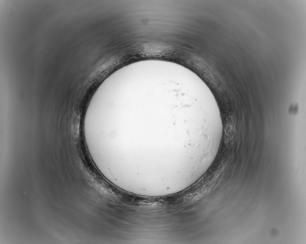 X0000099320454200805231428