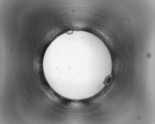 X0000099320455200805231428