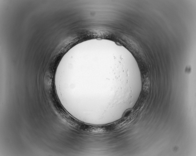 X0000099320456200805231428