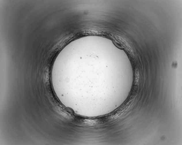 X0000099320457200805231428